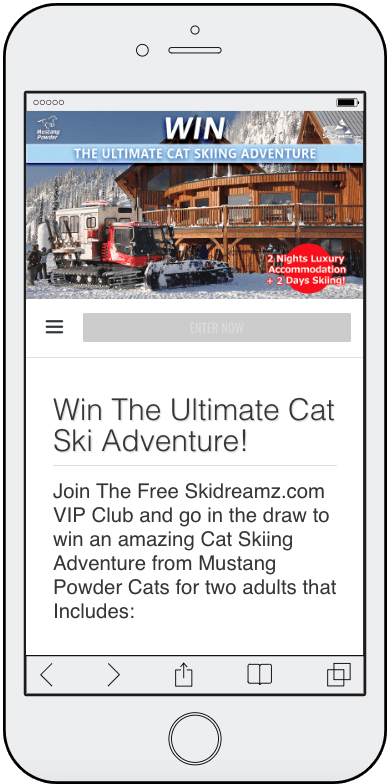 snow winter sports loyalty