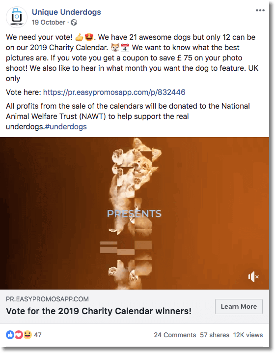 Unique Underdogs vote photo coupon
