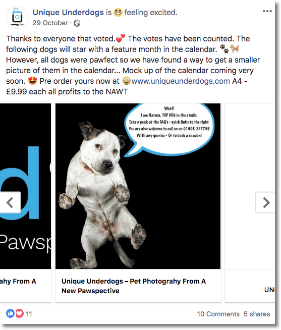 Unique Underdogs vote closed