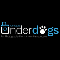 Unique Underdogs