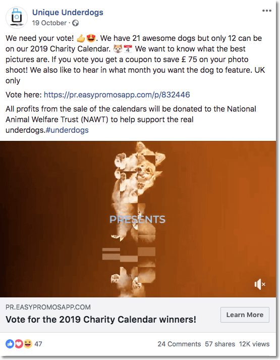 online awards unique underdogs