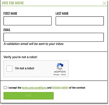 voting for an entry in photo contest