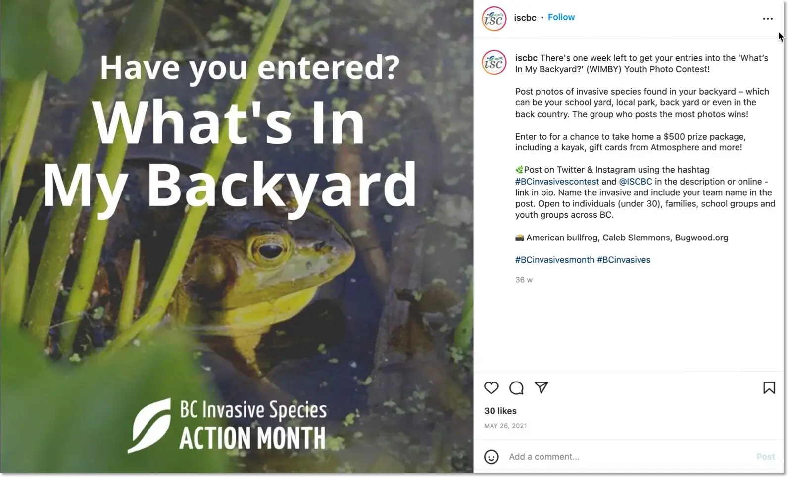 whats in my backyard mention and hashtag contest