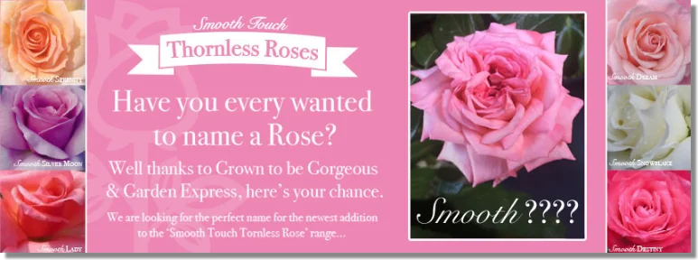 Spring Promotion Ideas to Help Your Business Grow