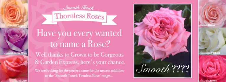 Main banner from a spring writing contest. Against a backdrop of pink roses, the text invites users to name a rose.