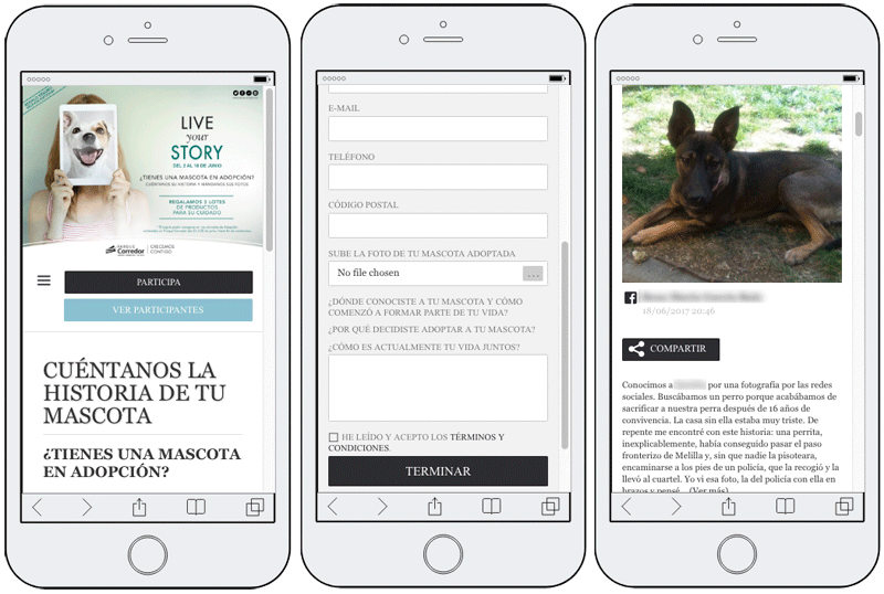 concurso animales acogidos