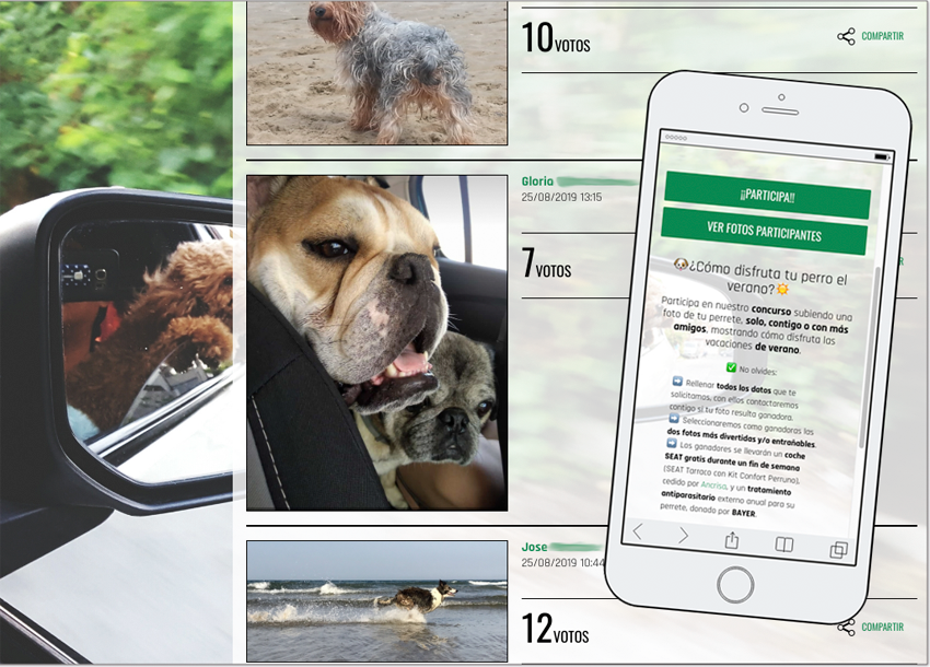 tematica concursos perros
