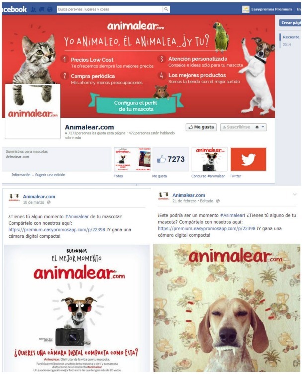 difusion concurso fotos animalear