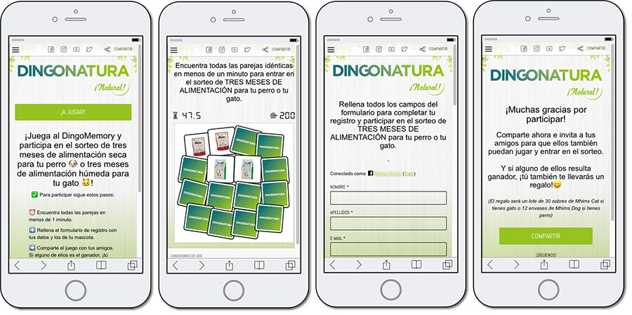 ejemplo de memory de Dingonatura