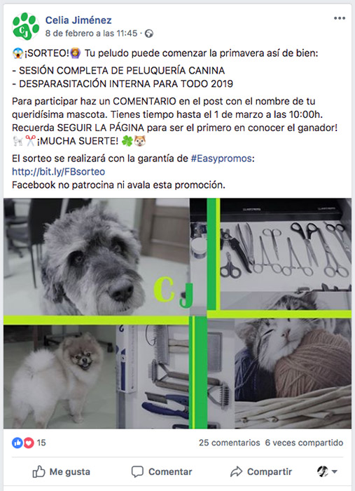 ejemplo-celia-mascotas