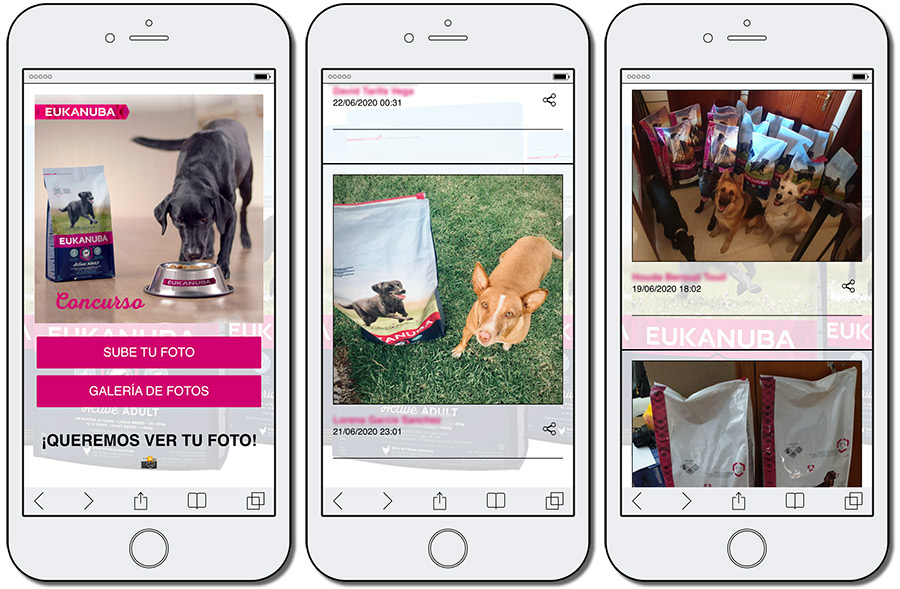 concurso de mascotas online de Eukanuba