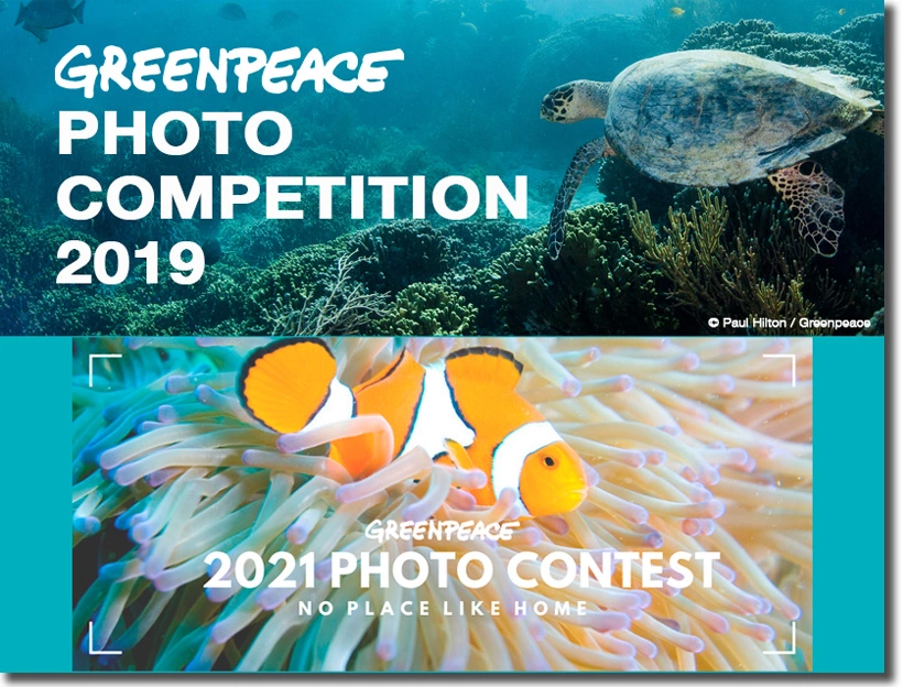 organizar un concurso online: concurso de greenpeace