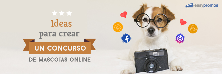 ideas para tu concurso de mascotas online