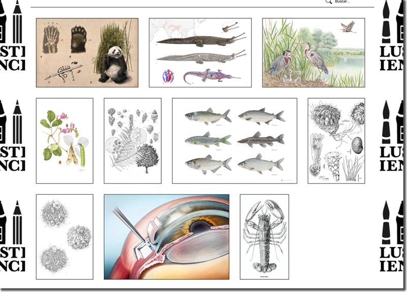 Ejemplo de concurso: Illustraciencia