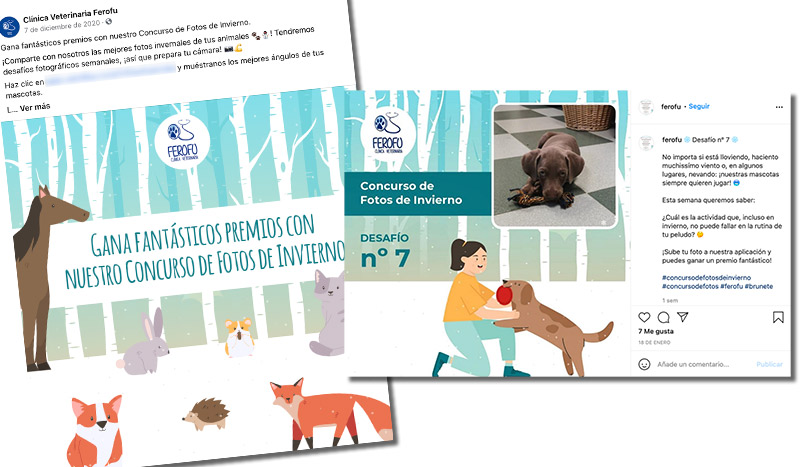 ejemplo de publicaciones de un concurso en diferentes redes sociales
