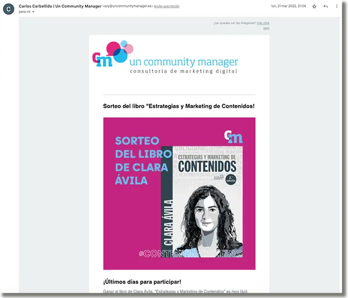 ejemplo de newsletter con cabecera y colores corporativos