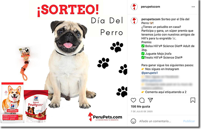 Ideas para el Día del puedes celebrarlo con tu comunidad