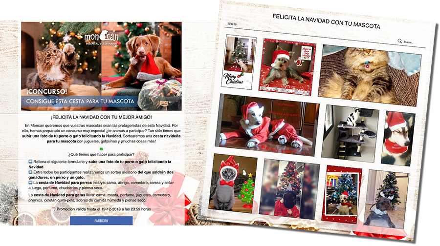 concurso de mascotas online de Moncan