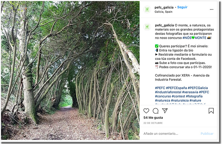 ejemplo de difusión de un concurso de fotos en instagram 02